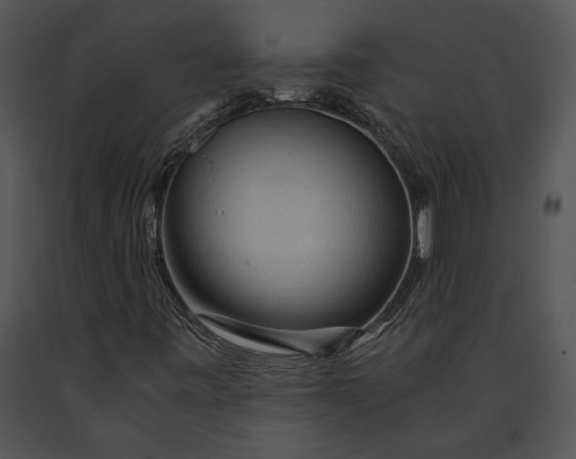 X0000091181443200708301206