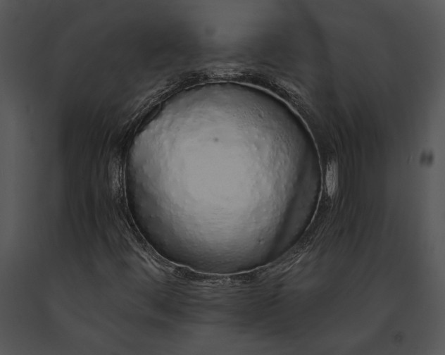 X0000091181444200708301206