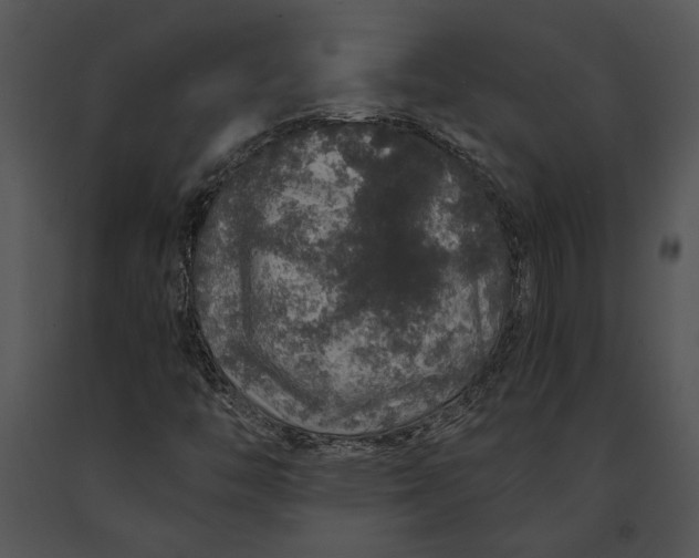 X0000091181446200708301206