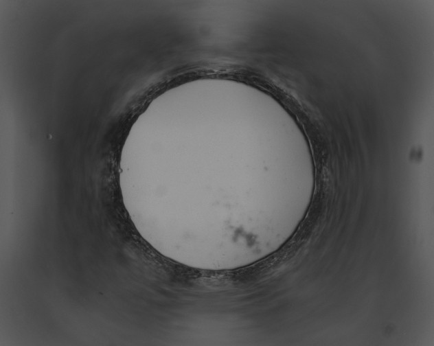 X0000091181447200708301206