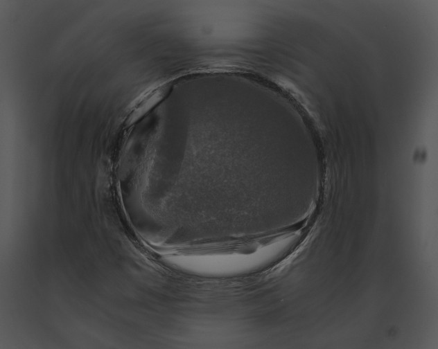 X0000091181449200708301206