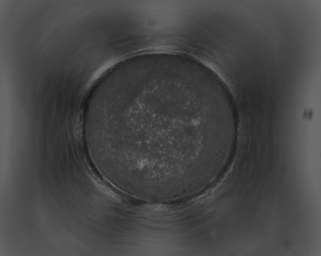 X0000091181450200708301206