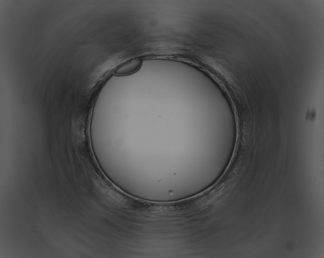 X0000091181451200708301206