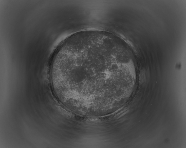 X0000091181454200708301206