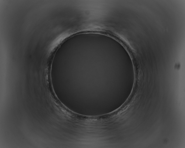 X0000091181455200708301206