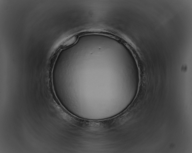 X0000091181456200708301206