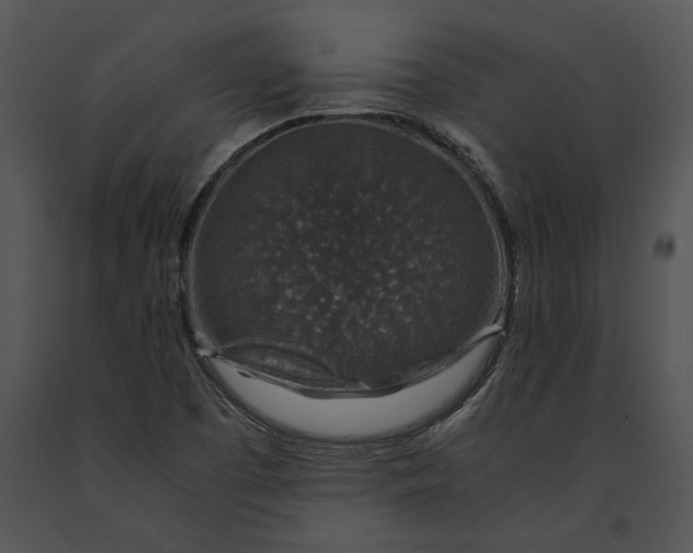 X0000091181457200708301206