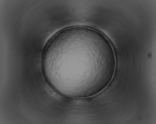 X0000091181460200708301206