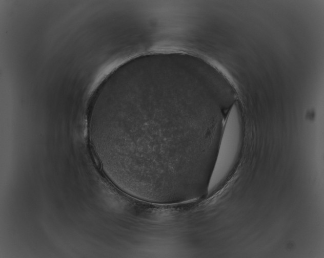 X0000091181461200708301206