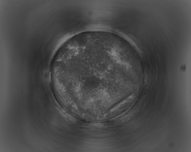 X0000091181462200708301206