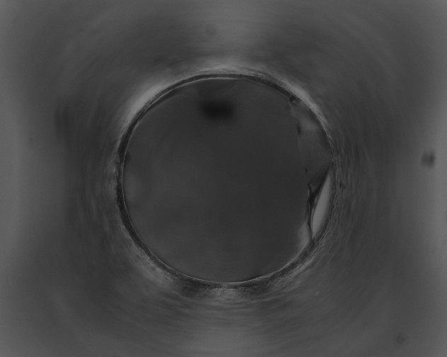 X0000091181463200708301206