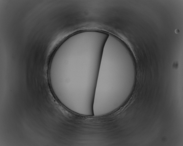 X0000091181464200708301206