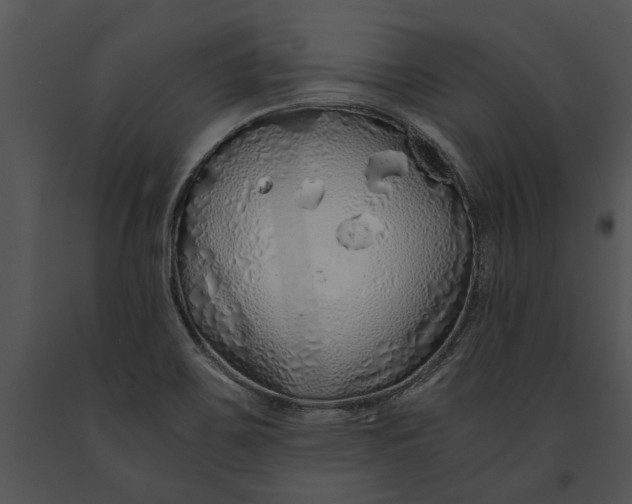 X0000091181467200708301206