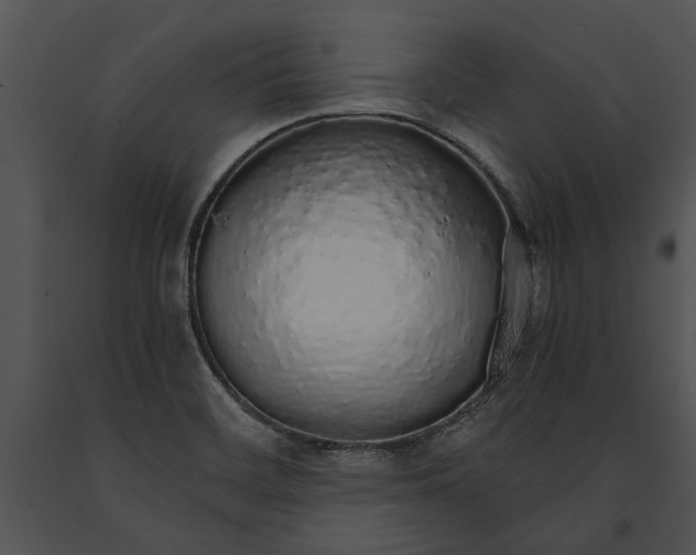 X0000091181468200708301206