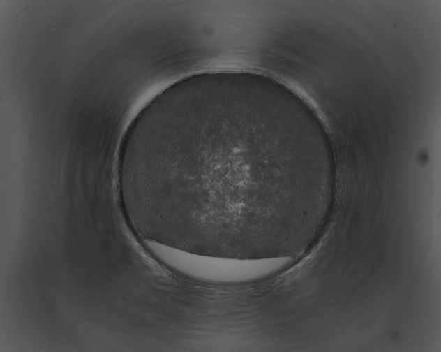 X0000091181469200708301206