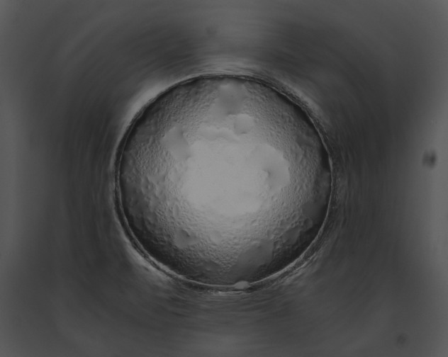 X0000091181471200708301206