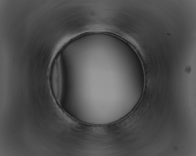 X0000091181472200708301206