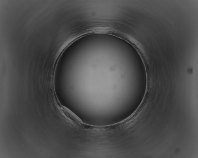 X0000091181473200708301206