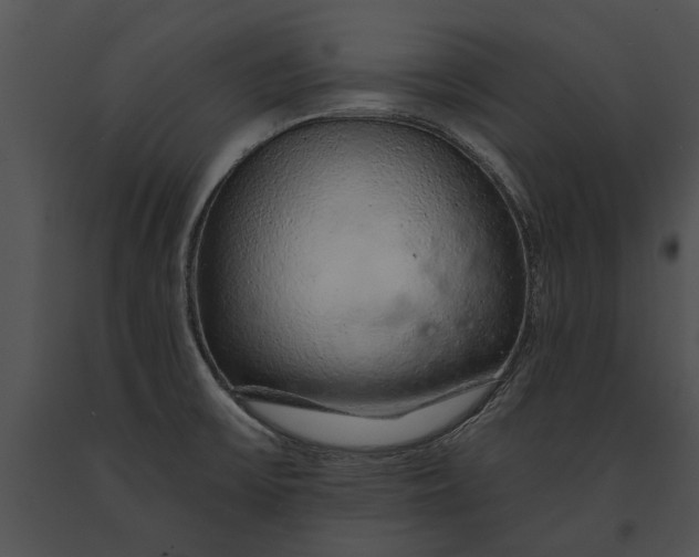 X0000091181475200708301206