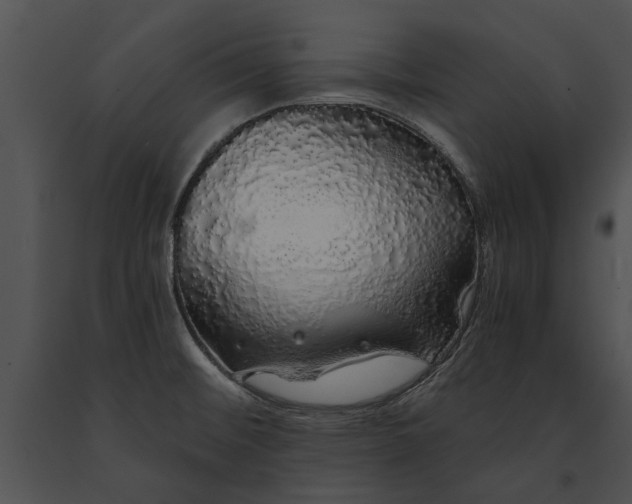 X0000091181476200708301206