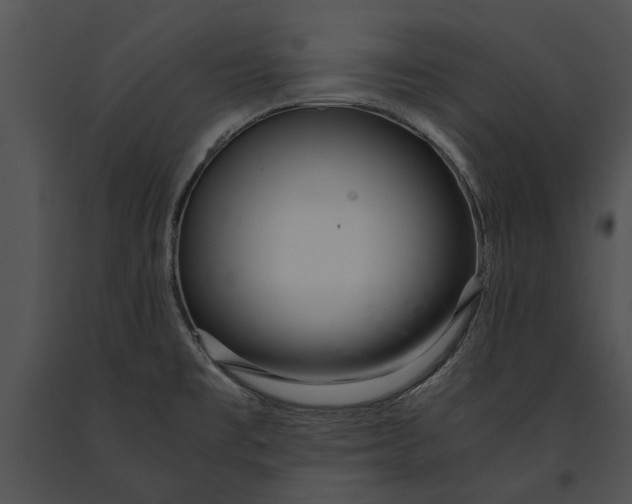 X0000091181477200708301206