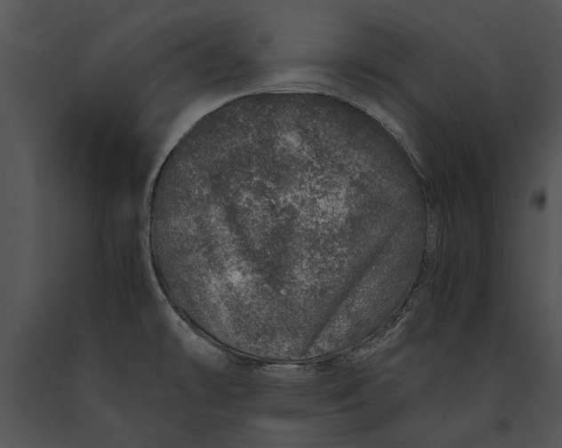 X0000091181478200708301206