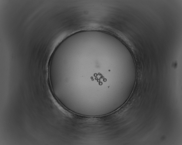 X0000091181479200708301206