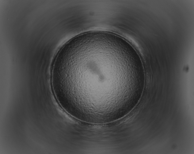 X0000091181480200708301206