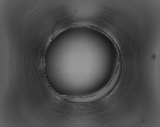 X0000091181481200708301206