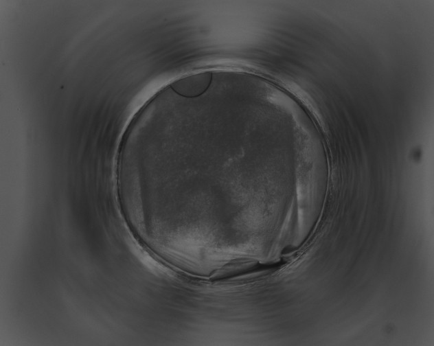 X0000091181482200708301206