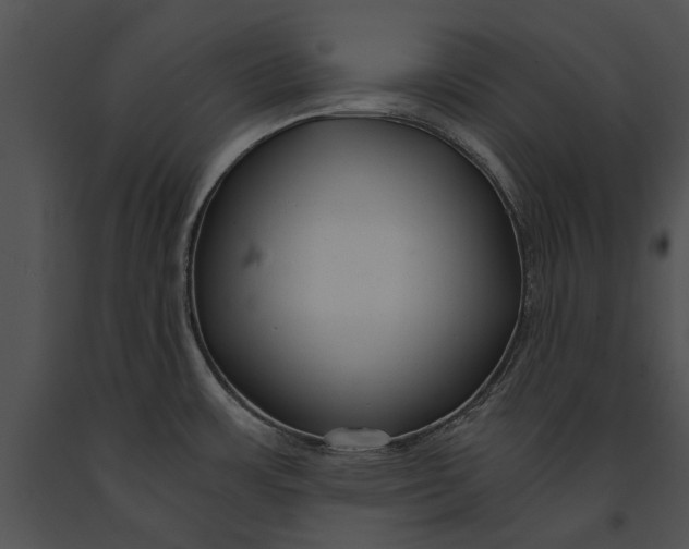 X0000091181483200708301206