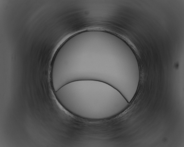 X0000091181484200708301206