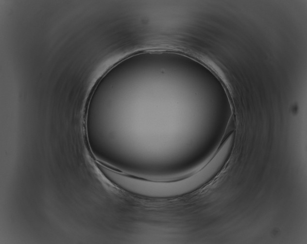 X0000091181485200708301206