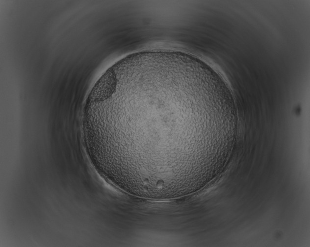 X0000091181486200708301206