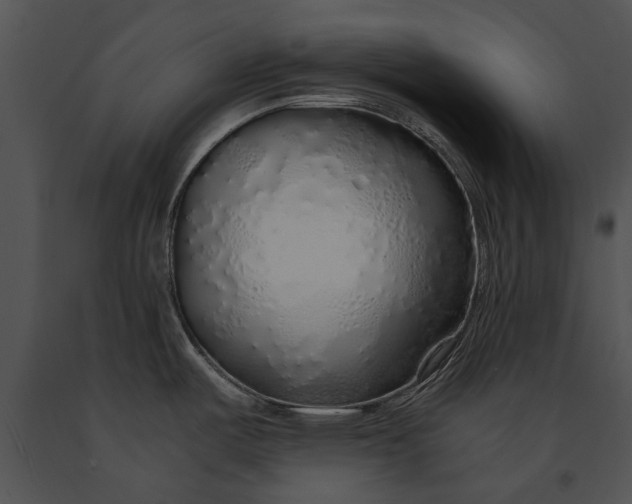 X0000091181487200708301206