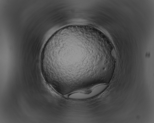 X0000091181488200708301206