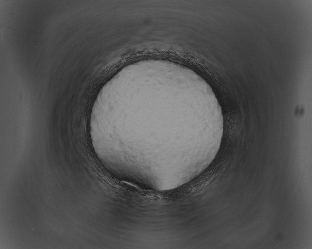 X0000091181489200708301205