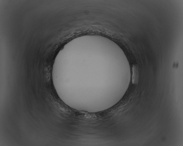 X0000091181491200708301205