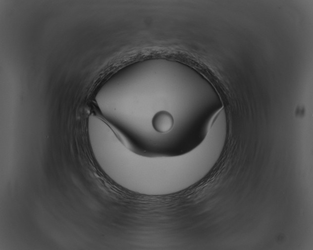 X0000091181492200708301205