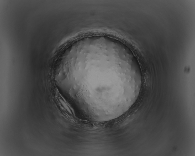 X0000091181494200708301205