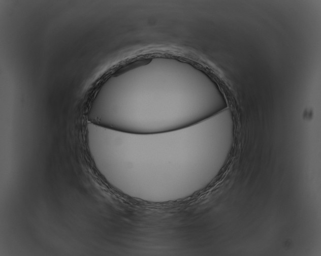 X0000091181496200708301205