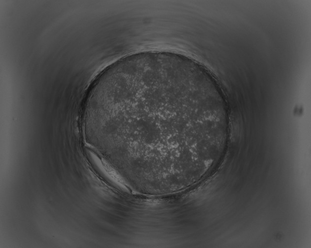 X0000091181497200708301205