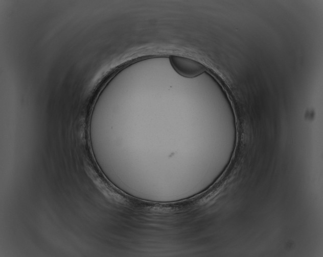 X0000091181499200708301205