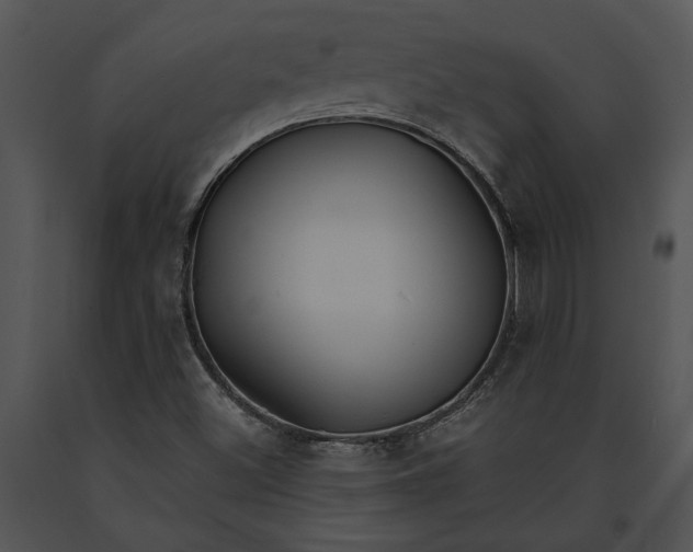 X0000091181500200708301205