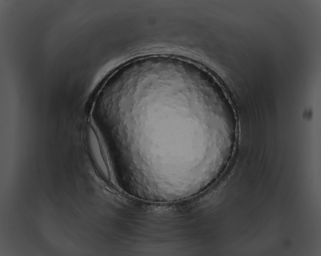 X0000091181501200708301205