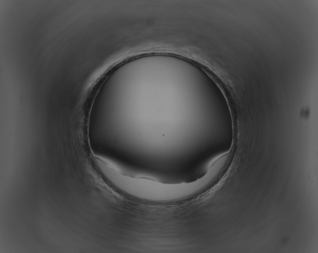 X0000091181502200708301205