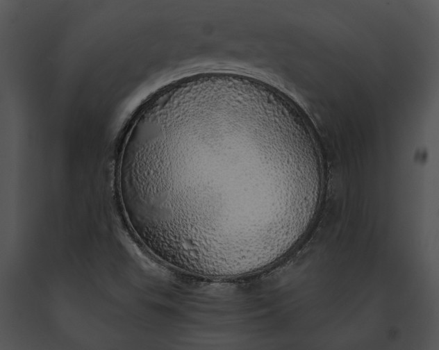 X0000091181503200708301205