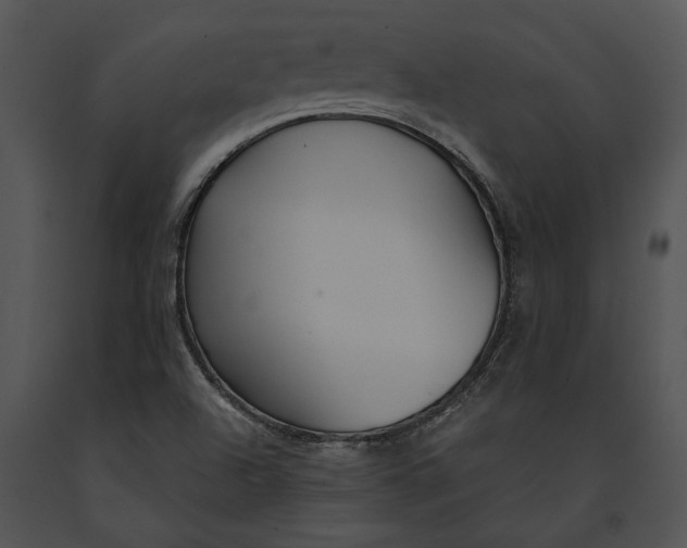 X0000091181504200708301205