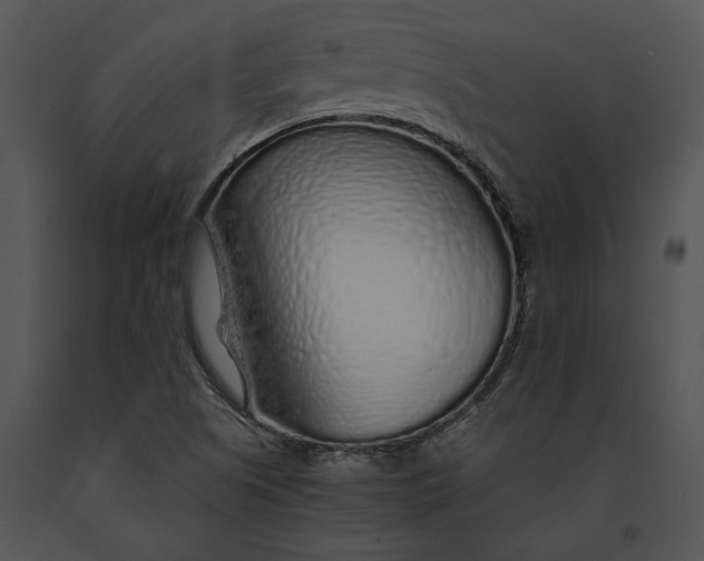 X0000091181505200708301205