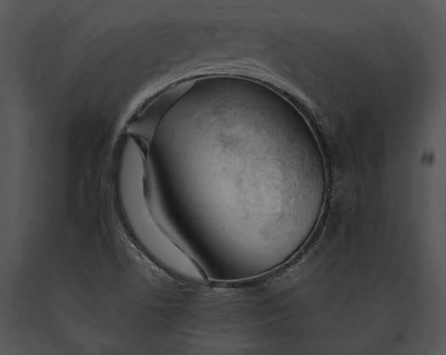 X0000091181506200708301205